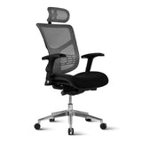 Ergonomic Chair ESSENT PLUS