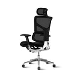 Ergonomic Chair SMART