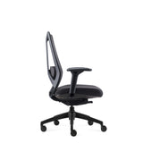 Ergonomic Chair SPECTRA