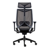 Ergonomic Chair SPECTRA