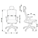 Ergonomic Chair HG-0004F