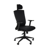 Ergonomic Chair HG-0004F