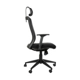 Ergonomic Chair HG-0004F