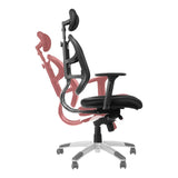 Ergonomic Chair HN-5018