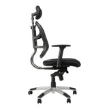 Ergonomic Chair HN-5018