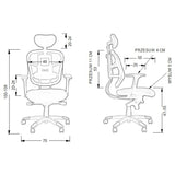 Ergonomic Chair HN-5018