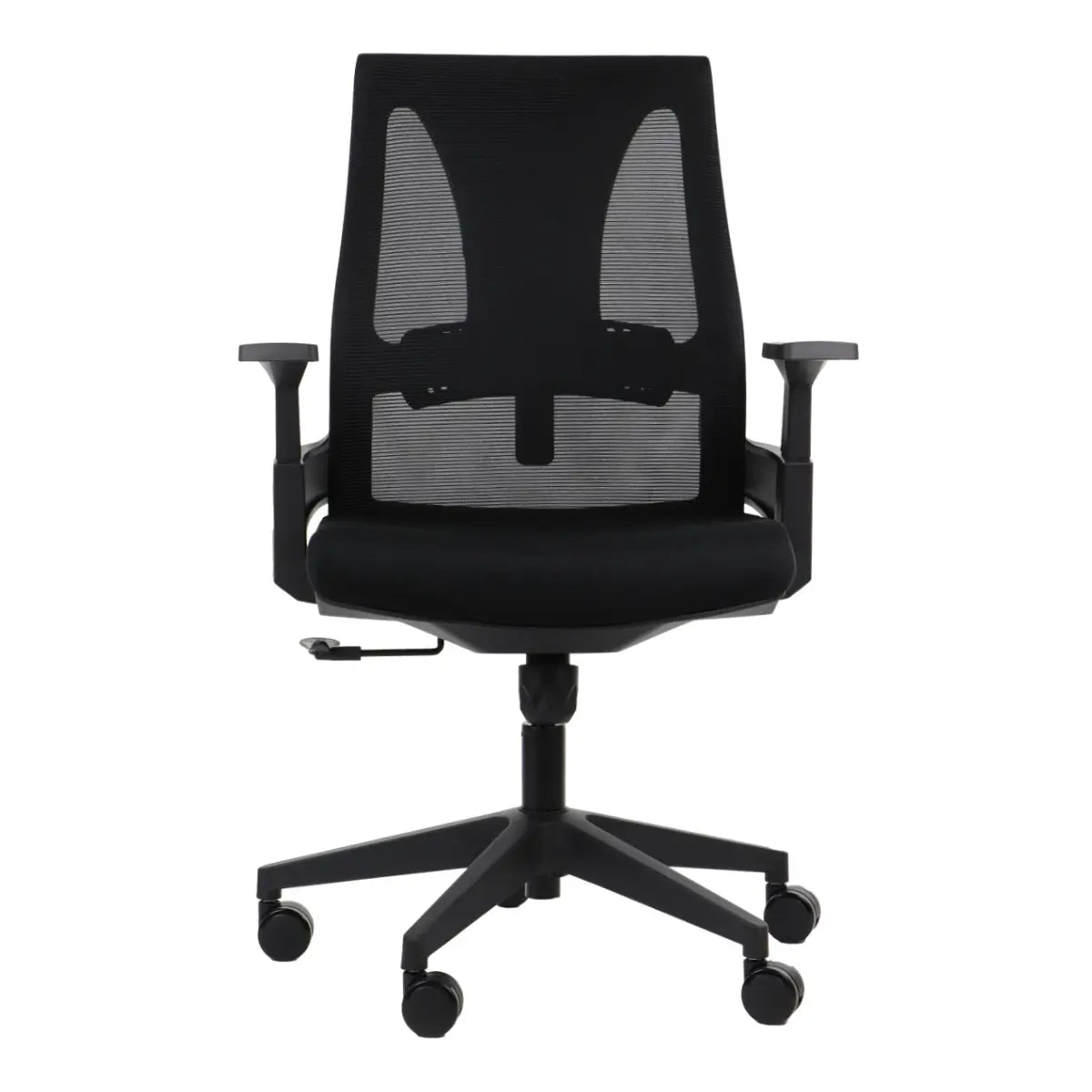 Ergonomic Chair OLTON L