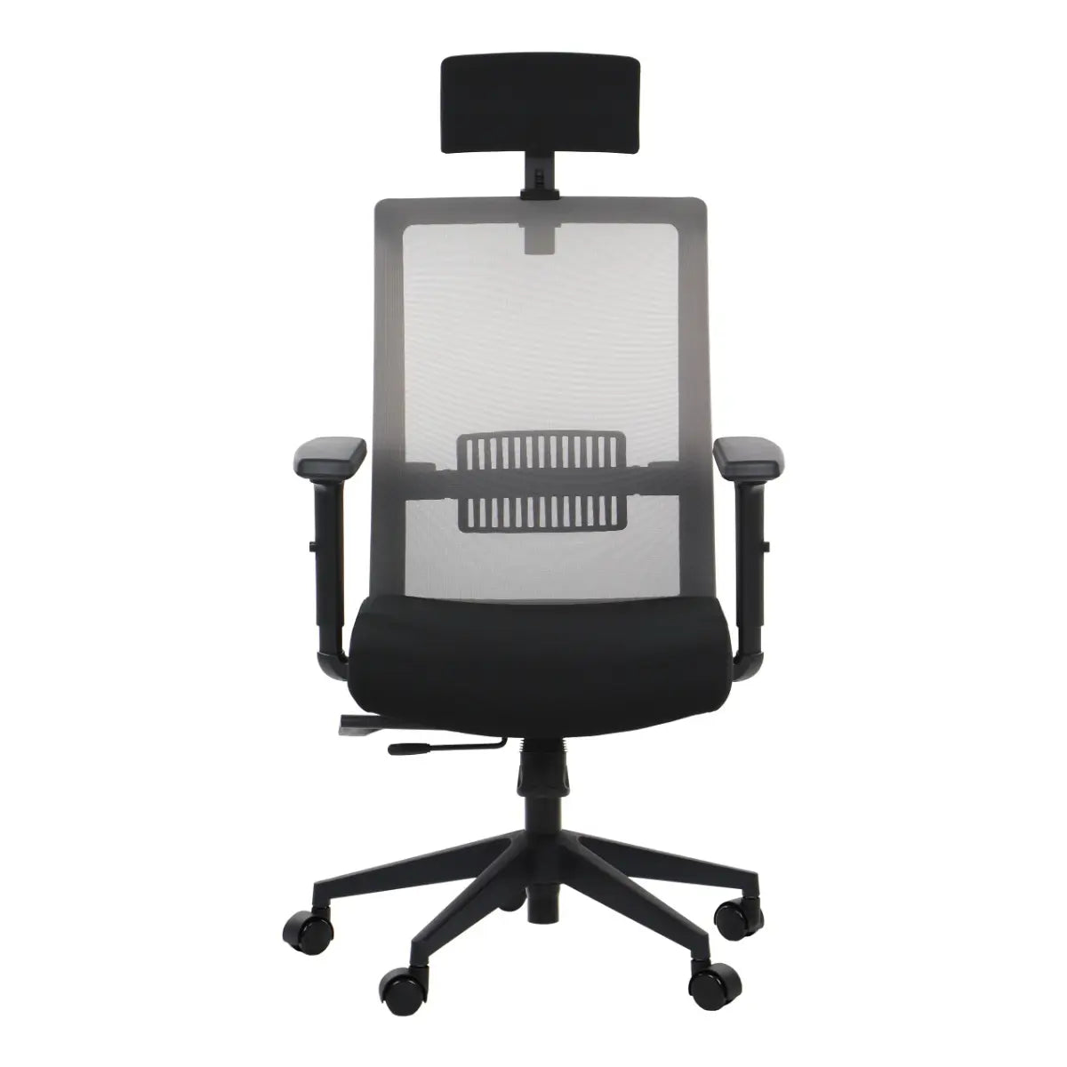 Ergonomic Chair RIVERTON