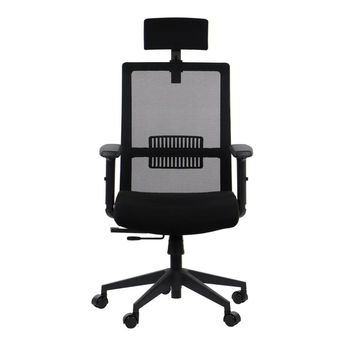 Ergonomic Chair RIVERTON