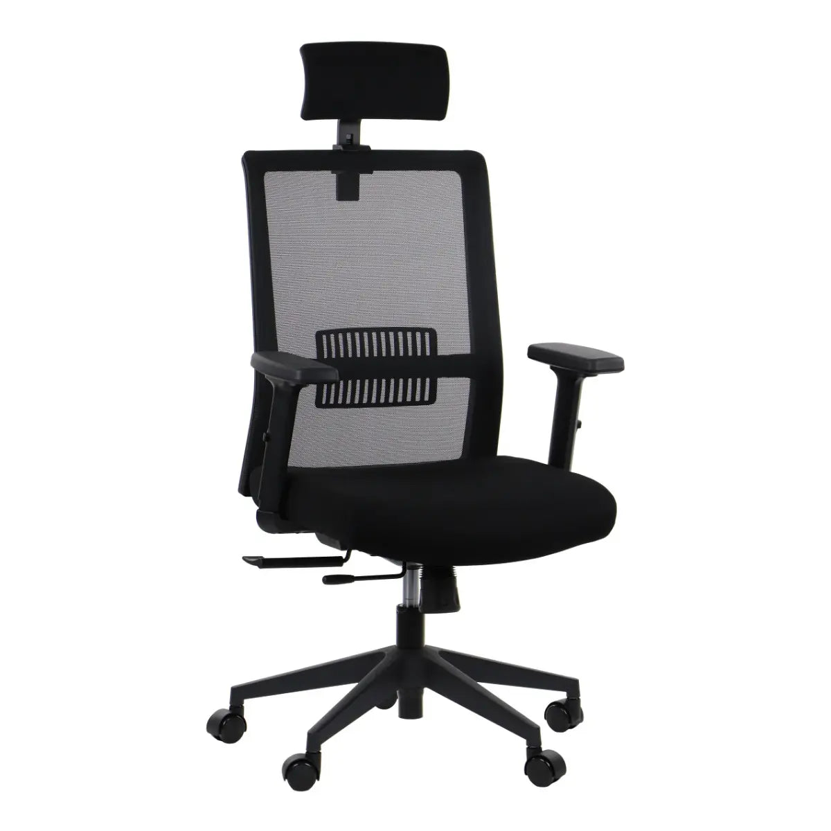 Ergonomic Chair RIVERTON