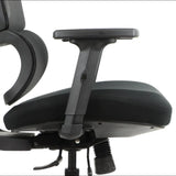 Ergonomic Chair TREX