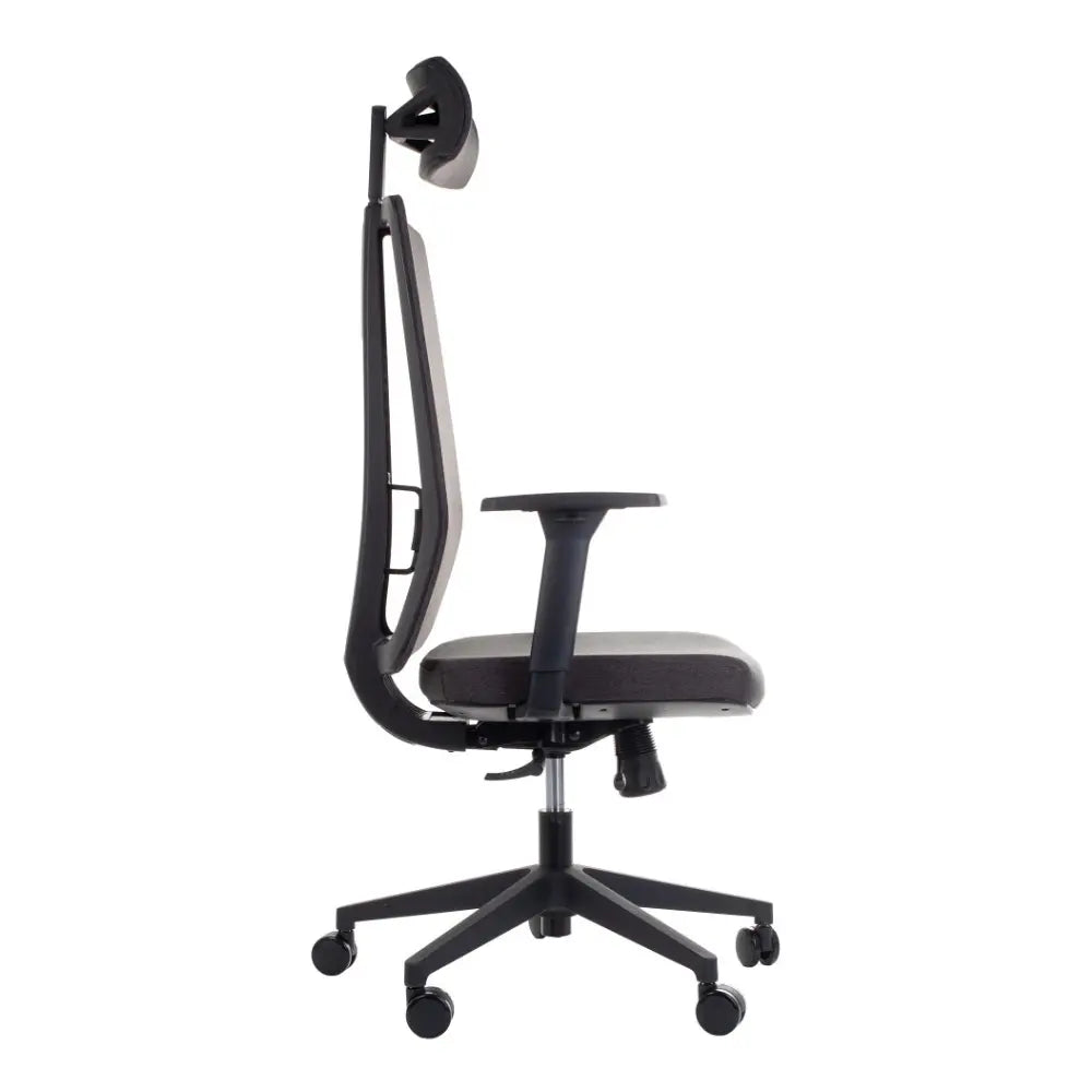 Ergonomic Chair ZN-805-C