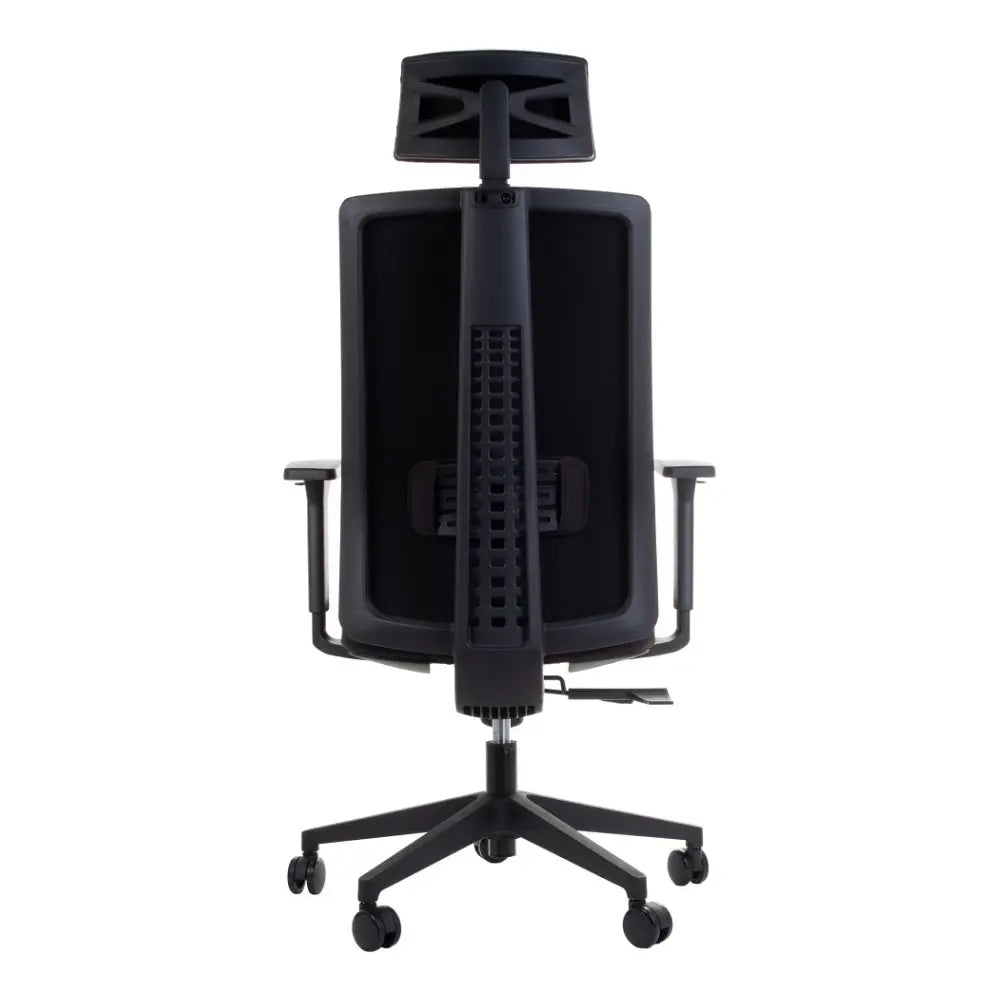 Ergonomic Chair ZN-805-C