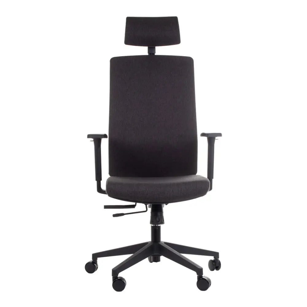 Ergonomic Chair ZN-805-C