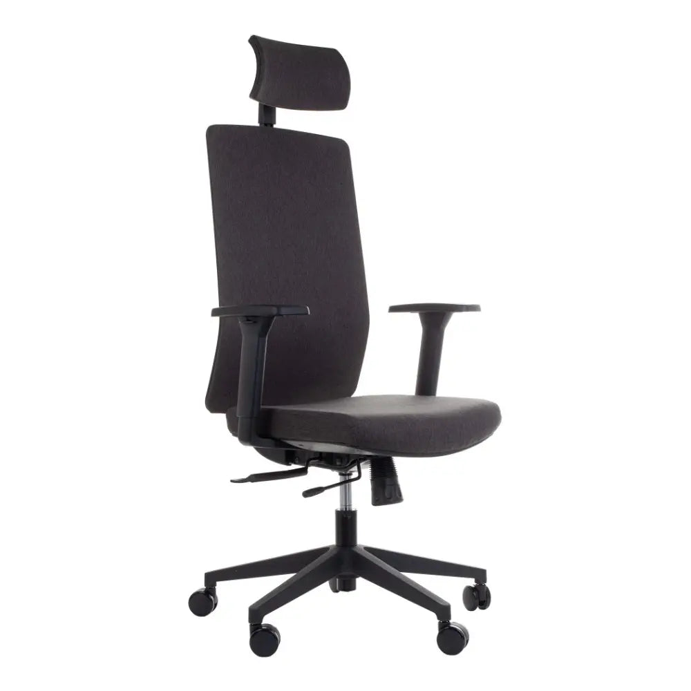 Ergonomic Chair ZN-805-C