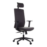 Ergonomic Chair ZN-805-C