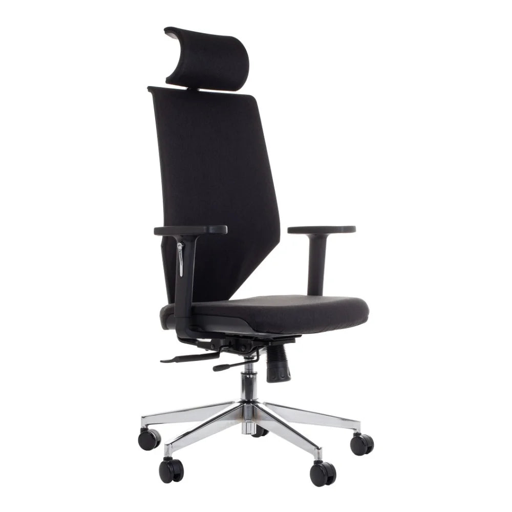 Ergonomic Chair ZN-805-C